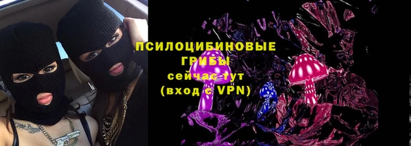 стаф Баксан