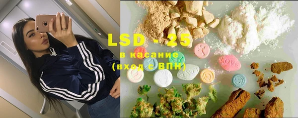 стаф Баксан
