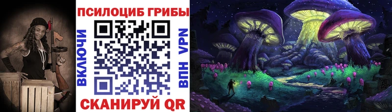 ссылка на мегу онион  Котельниково  Галлюциногенные грибы Psilocybe 